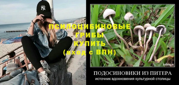 синтетический гашиш Краснослободск