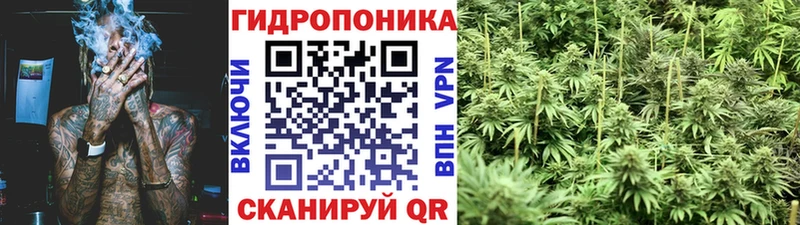 Бошки Шишки сатива Мамоново